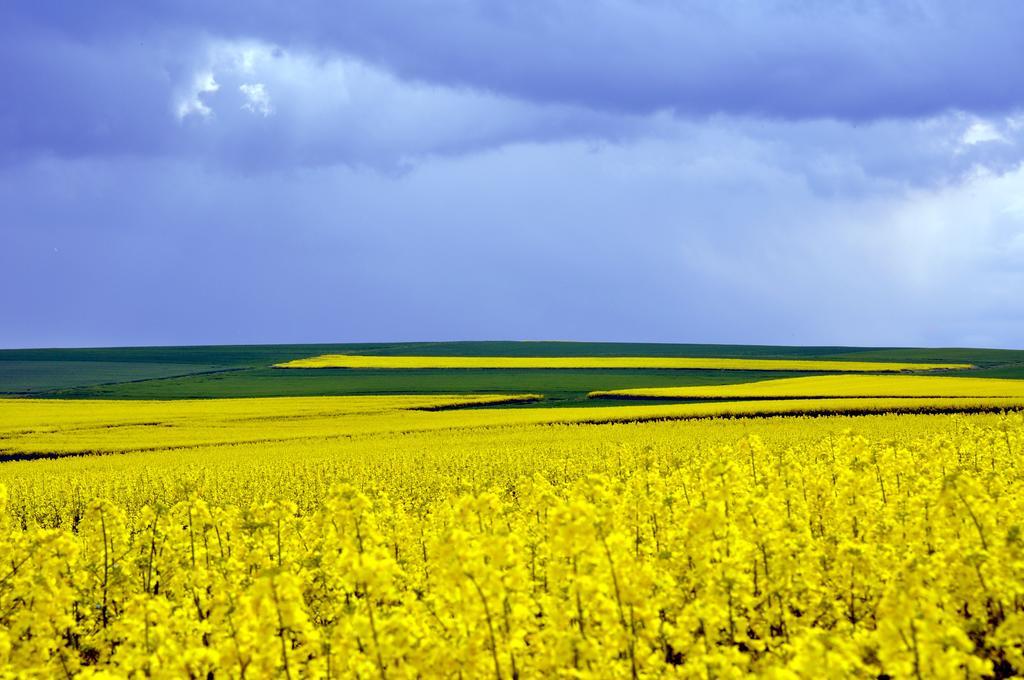 Maifeld-Fewo Rhapsodie Kerben Buitenkant foto